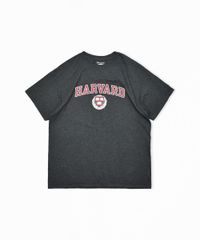 Champion Harvard University ハーバード大学 Tee XL