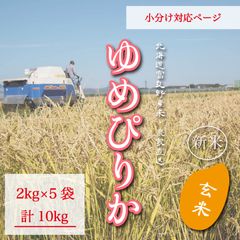 ゆめぴりか　玄米2kg5袋　お米10kg お米　米　ブランド米　農家直送