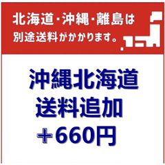 沖縄／北海道　追加送料専用　+660円