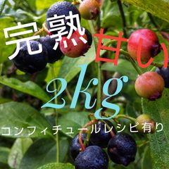 冷凍完熟ブルーベリー2kg（全国送料込み）