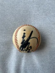 阪神タイガース　村山実　江夏豊　田淵幸一　藤田平　寄せ書き　サインボール　当時物 Yahoo!オークション -「江夏豊」(記念品、関連グッズ) (野球)の