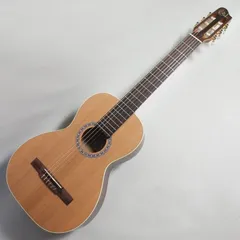 2025年最新】パーラーギターの人気アイテム - メルカリ 