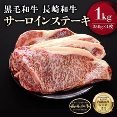 黒毛和牛 長崎和牛 サーロインステーキ 1kg 1キロ 牛肉