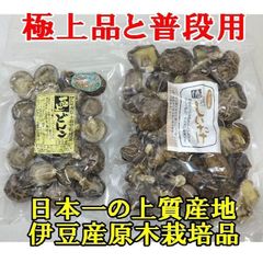 ★お正月用極上どんこと徳用しいたけセット★日本一の上質産地伊豆産原木栽培椎茸