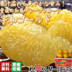 宇和ゴールド 河内晩柑 約10kg M～3Lサイズ 愛媛県産 大容量でお届け！豊富な果汁を湛えた和製グレープフルーツ