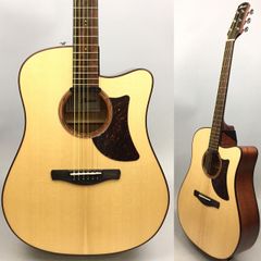Ibanez AAD300CE-LGS f145