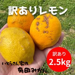 【訳あり】 ずっしり重い!!国産レモン　2.5キロ 14~22玉のサムネイル