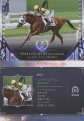 2025年最新】まねき馬 spの人気アイテム - メルカリ