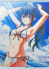 ★ アニメイト特典 描き下ろし B2タペストリー 雪ノ下雪乃