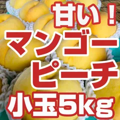 2025年最新】訳ありマンゴーの人気アイテム - メルカリ