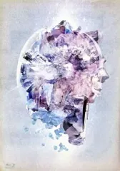 新品 初回限定盤 RADWIMPS Live & Document 2014 Amazon.co.jp: RADWIMPS Live & Document 2014「×と○と君と