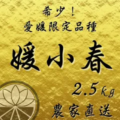 2025年最新】媛小春の人気アイテム - メルカリ