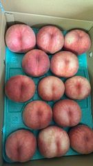 りんご❓柿❓硬い〜桃‼️山形県産　かたいもも　おどろき　硬いもも　硬桃　桃