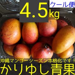 沖縄県産 ミニマンゴーＢ品 約4.5kg【クール便】①