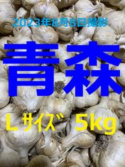 青森県産にんにく５ｋｇ L ニンニク５キロ 福地ホワイト６片種 訳あり