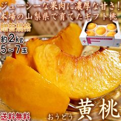 【予約：8/1～8/30予定】黄桃 ギフトもも 約2kg 5～7玉 贈答規格 山梨県産 JA共撰品中心 ジューシーな果肉に濃厚な甘さ！お中元に人気の高品質なフルーツ