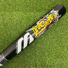 2025年最新】MIZUNO WORLD WIN 軟式 バットの人気アイテム