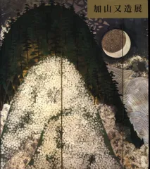 加山 又造、黒衣の裸婦、希少画集画、新品額装、状態良好 2025年最新】加山又 裸婦の人気アイテム - メルカリ