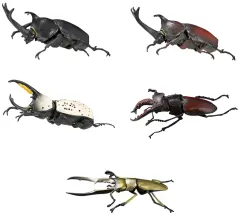 【中古】食玩 トレーディングフィギュア 全5種セット 「昆虫ハンター2024」