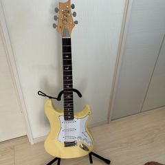 デルポトロ様専用】 suhr standard 2002年 - メルカリ