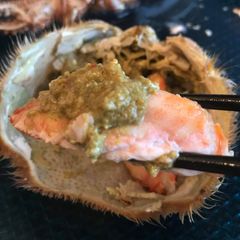 根室産 浜茹で無冷凍毛ガニ400ｇ前後2尾9980円！！  ※発送まで2週間いただきます