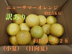 訳あり　ニューサマーオレンジ　日向夏　小夏　農家直送　愛媛県　大洲市産　約2.5㎏　約15～22玉　北海道・沖縄への発送不可　5月21日（水）８時までの受付