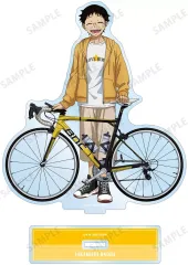 【新品】アクリルスタンド・アクリルパネル [新品] 小野田坂道 描き下ろし 私服×ロードバイクver. BIGアクリルスタンド 「弱虫ペダル LIMIT BREAK」