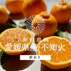 【産地直送】愛媛県八幡浜産 【不知火】3kg ※訳あり