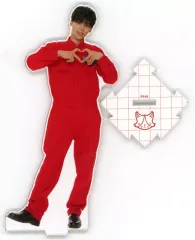 2025年最新】猫のひたいほどワイドの人気アイテム - メルカリ