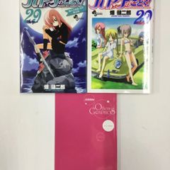 ハヤテのごとく! 29巻限定版　他人の画集付 / 畑健二郎
