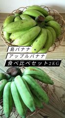 石垣島産 アップルバナナ&島バナナ食べ比べセット 2kg