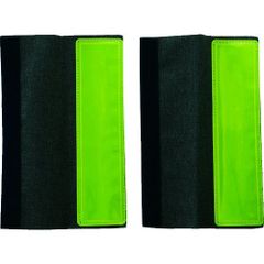 Item thumbnail for item c5248d89-59e1-4f03-9ee0-5919fd212444