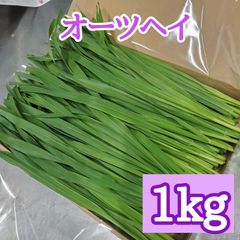 生牧草オーツヘイ(えん麦)1kg