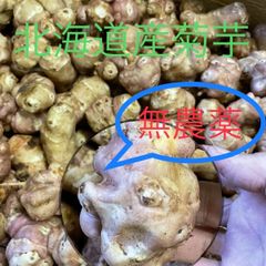 北海道産無肥料無農薬栽培菊芋4kg入　栽培期間中:無農薬