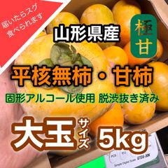 山形県産 平核無柿・甘柿 大玉 5kg 渋抜き柿 極甘 硬い柿