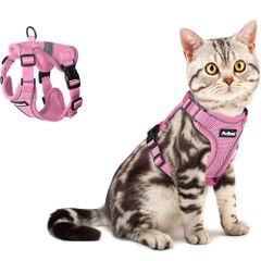 Item thumbnail for item 8c06f564-f5be-4d71-9992-fd94e11536e1