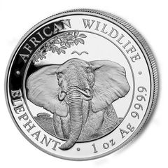 1オンス銀貨African Wildlife Leopard - メルカリ