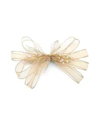 ヘアクリップ 髪飾り チュールリボン ヘアアクセサリー 森ガール 誕生日 発表会 撮影用 結婚式 フォーマル 通勤 通学 パーティー (シャンパン) [シャンパン]