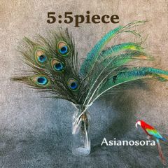 ❤️【クジャク 5:5】孔雀　羽根 剣  目玉 パーツ 鳥の羽根 インテリア