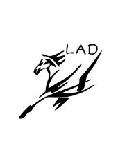 スプリングバンク 13年 ローカルバーレイ 限定8400本 - メルカリ