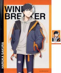 [중고] 클리어 포스터 B4 클리어 포스터 & 스티커 사쿠라 하루카 [이치 반 쿠지 WIND BREAKER ~ 의지하는 사람 ~] F상