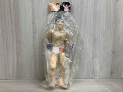 PRIDEビッグサイズソフビ桜庭、藤田2体セット - メルカリ