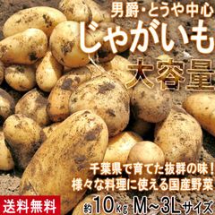 じゃがいも 男爵・とうや中心 約10kg M～3Lサイズ 千葉県産 大容量 様々なお料理に使えるお得な国産野菜！