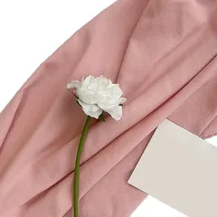 Lezalic 背景布 リネン調 180cmx250cm 無地 生地 物撮り 撮影用 内装 写真 多用途 シワが付きにくい バック スクリーン スタジオ クロス( パステルピンク)