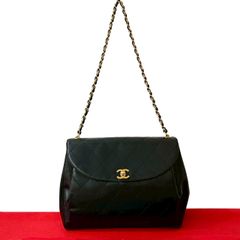 ほぼ未使用 袋付き FENDI フェンディ ズッカ FF 柄 キャンバス