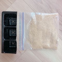 【挿し穂とセット購入のみ】挿し木スターターセット