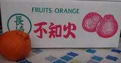 長崎県産 不知火 秀品 5kg 甘くて美味しい♪