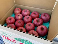 信州産「赤田の家」サンふじ　cheroさま専用