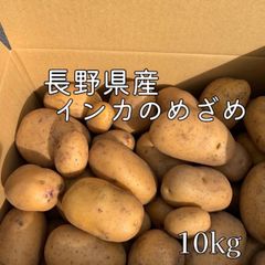 インカのめざめ　10㎏ 　S～Lサイズ　農薬不使用