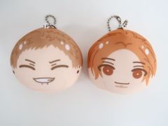 ときしば 直筆サイン入り A4判 アクリルプレート 「 ヤギと